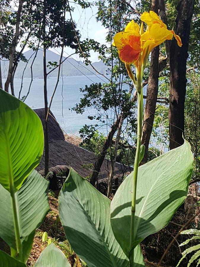 Sunny Island Resort (Adults Only) El Nido Exterior foto